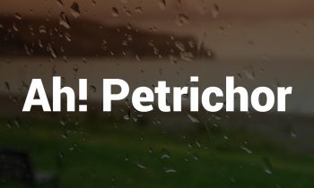 Ah! Petrichor..