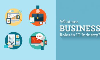 What Are Business Roles in IT Industry?